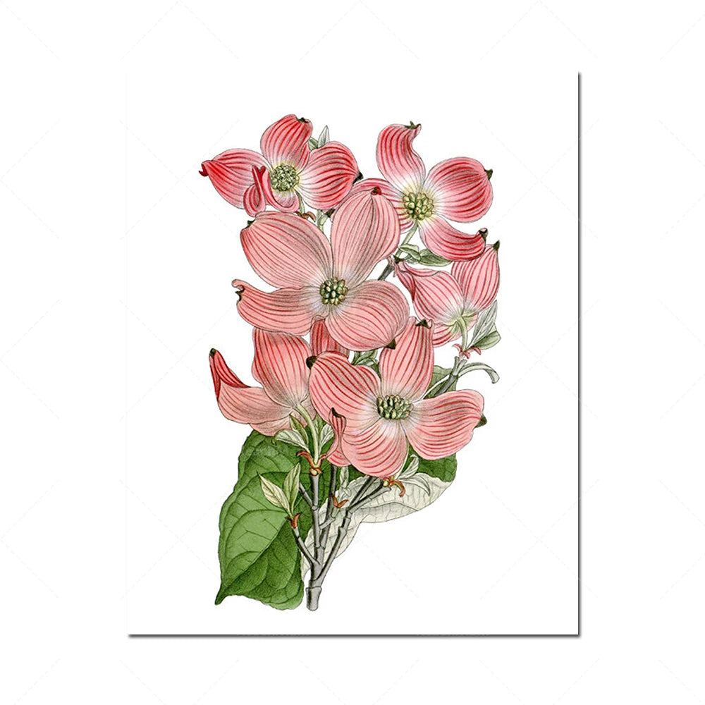 Bouquet de fleurs roses épanouies avec des feuilles vertes sur fond blanc.