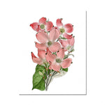 Bouquet de fleurs roses épanouies avec des feuilles vertes sur fond blanc.