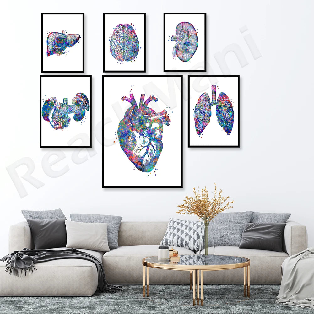 Des affiches anatomiques multicolores représentant différents organes du corps humain, offrant une vue unique et fascinante sur les structures internes.