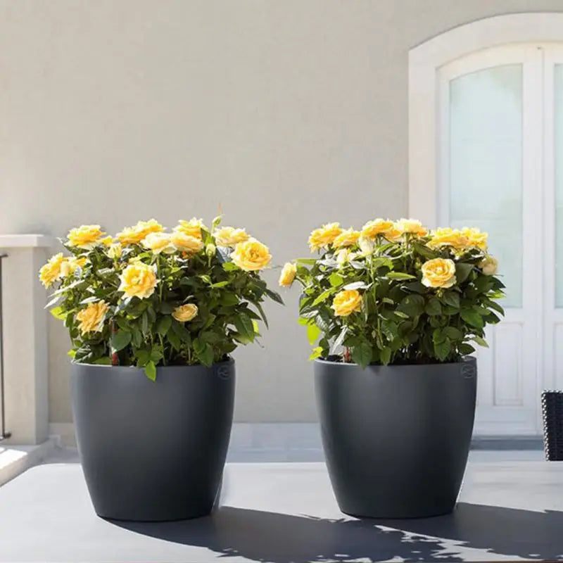 Pot de fleurs jaune avec conception double couche