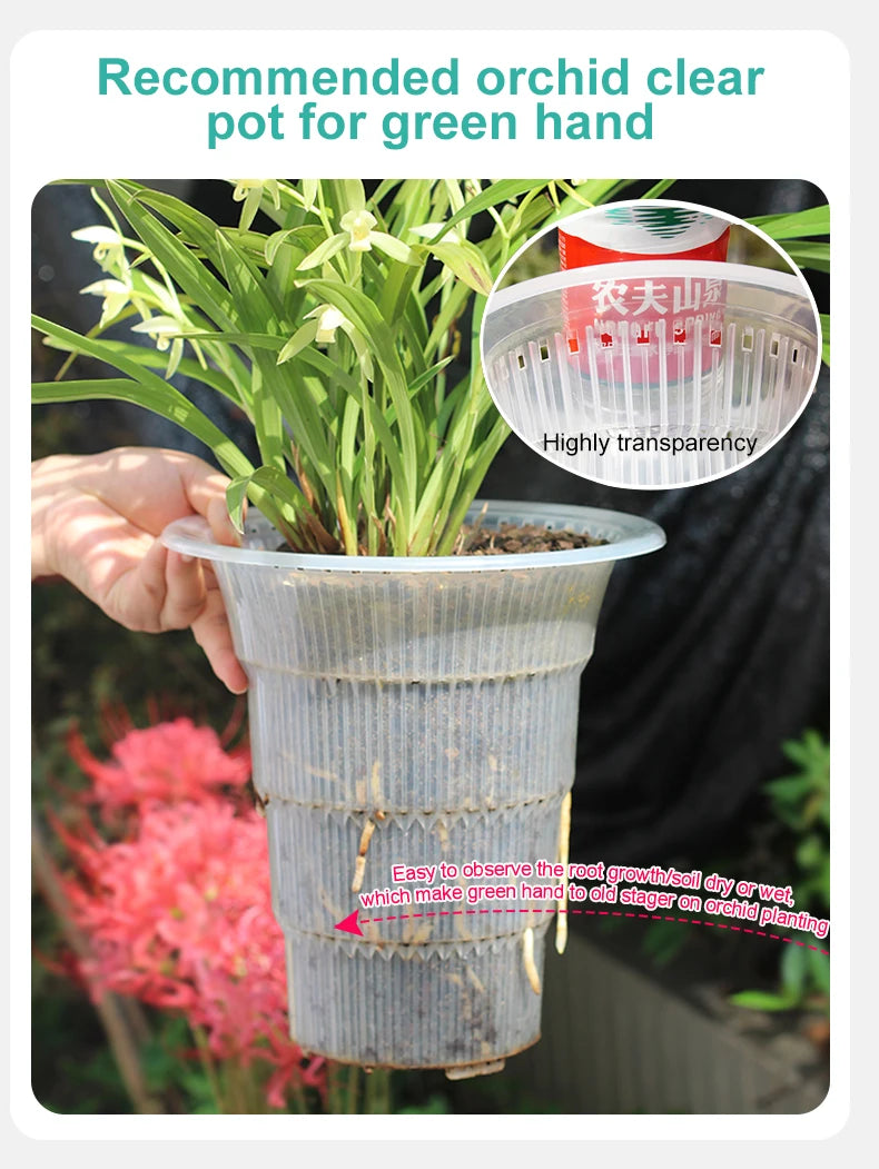 pot transparent moderne air pruning racines orchidées décoration maison fleur plante verte sans fini