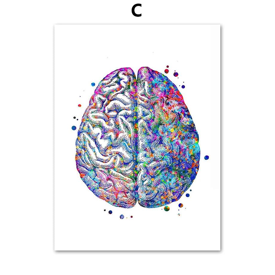 Une représentation colorée et abstraite du cerveau humain, mettant en valeur sa complexité et sa diversité.