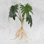 décoration intérieure plante artificielle verte feuilles modernes sans pot