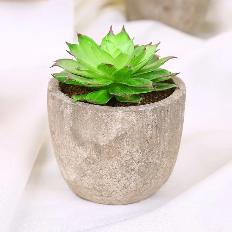 plantes succulentes artificielles vertes modernes mini bonsaï décoration maison feuilles pointues arrondies pot céramique