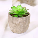 plantes succulentes artificielles vertes modernes mini bonsaï décoration maison feuilles pointues arrondies pot céramique