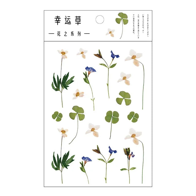 fleurs séchées décoratives naturelles adhésives transparentes variées sacs enfants papeterie mignonne