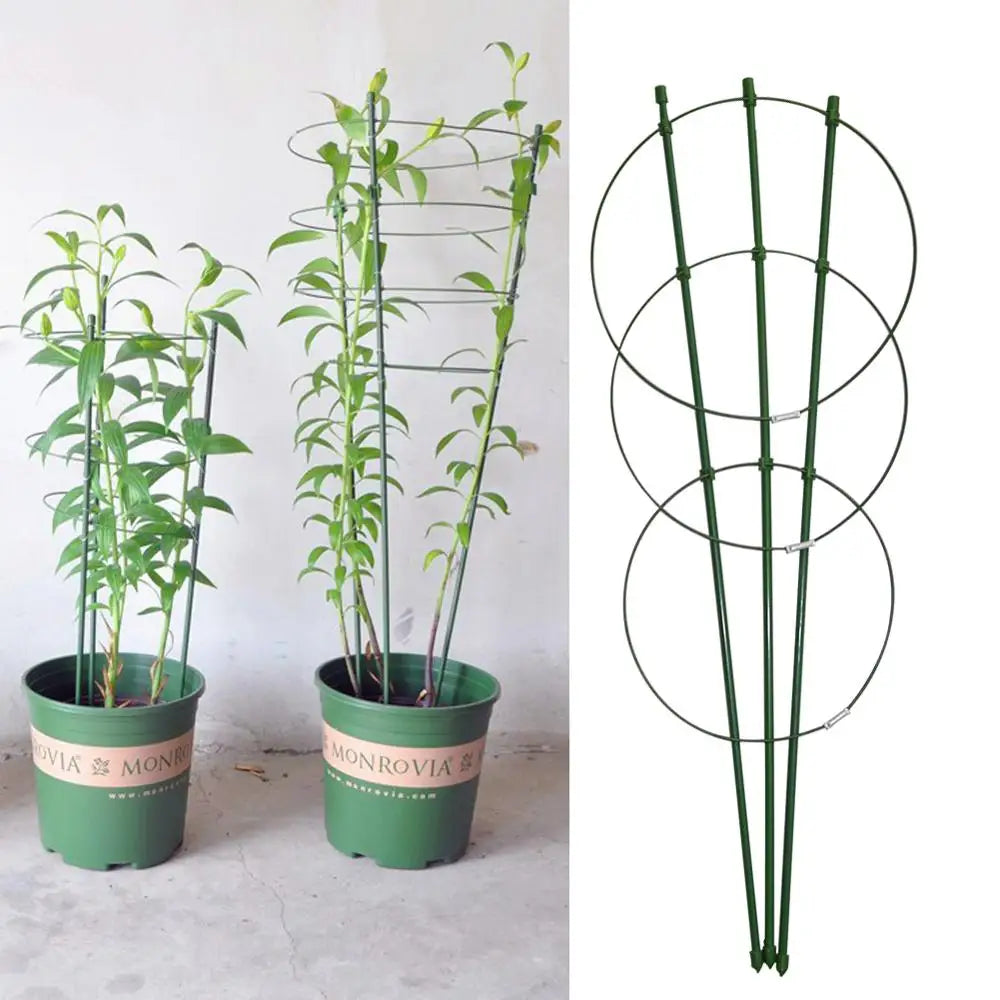 supports plantes grimpantes treillis jardin vert métallique durable clipsage tomates haricots 60cm 45cm