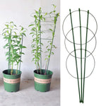 supports plantes grimpantes treillis jardin vert métallique durable clipsage tomates haricots 60cm 45cm