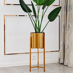 Décoration maison avec pot de fleur doré et plante verte