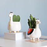 cache pot animaux cartoon cactus ours girafe renard chat fleur verte porcelain moderne