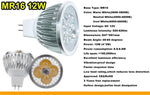 Ampoule LED 12V 9W 12W 15W blanc chaud neutre froid moderne 50000h