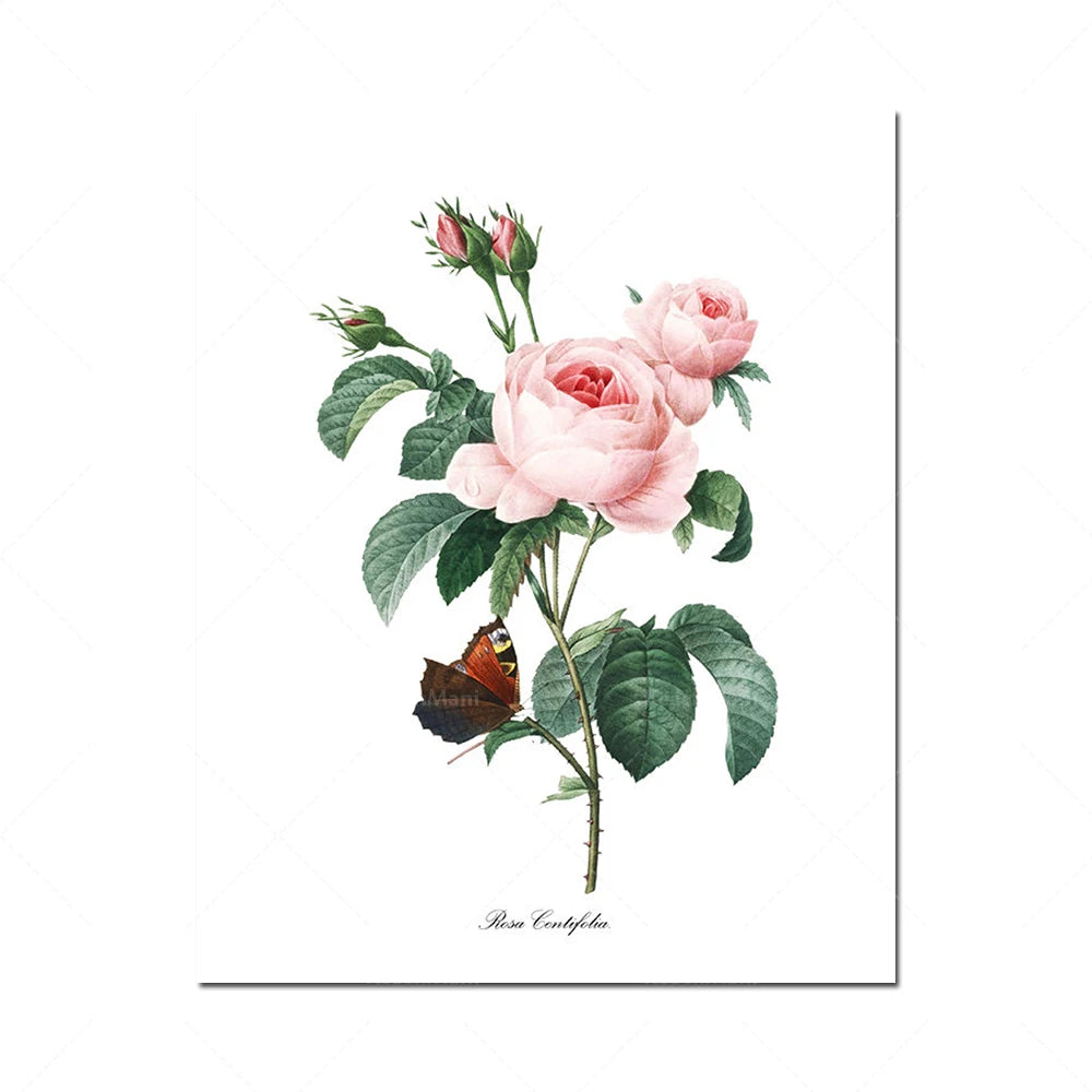 Une magnifique composition de roses aux teintes délicates et délicates, avec des feuilles vertes luxuriantes et un papillon multicolore.