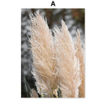 Magnifiques plumes pâles et soyeuses de pampas dans un paysage flou.