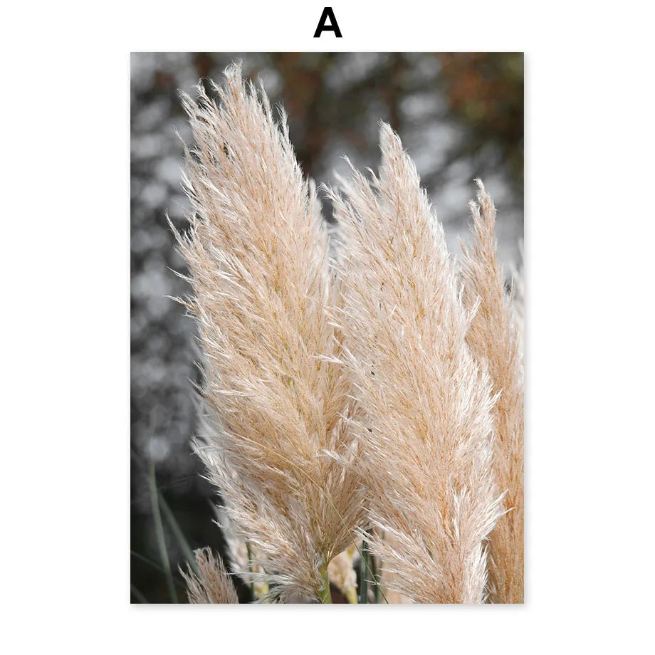 Magnifiques plumes pâles et soyeuses de pampas dans un paysage flou.