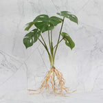 décoration intérieure plante artificielle verte feuilles modernes sans pot