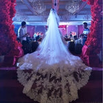 Voile mariée deux couches transparente broderie florale classique clips métalliques blanc crème écru