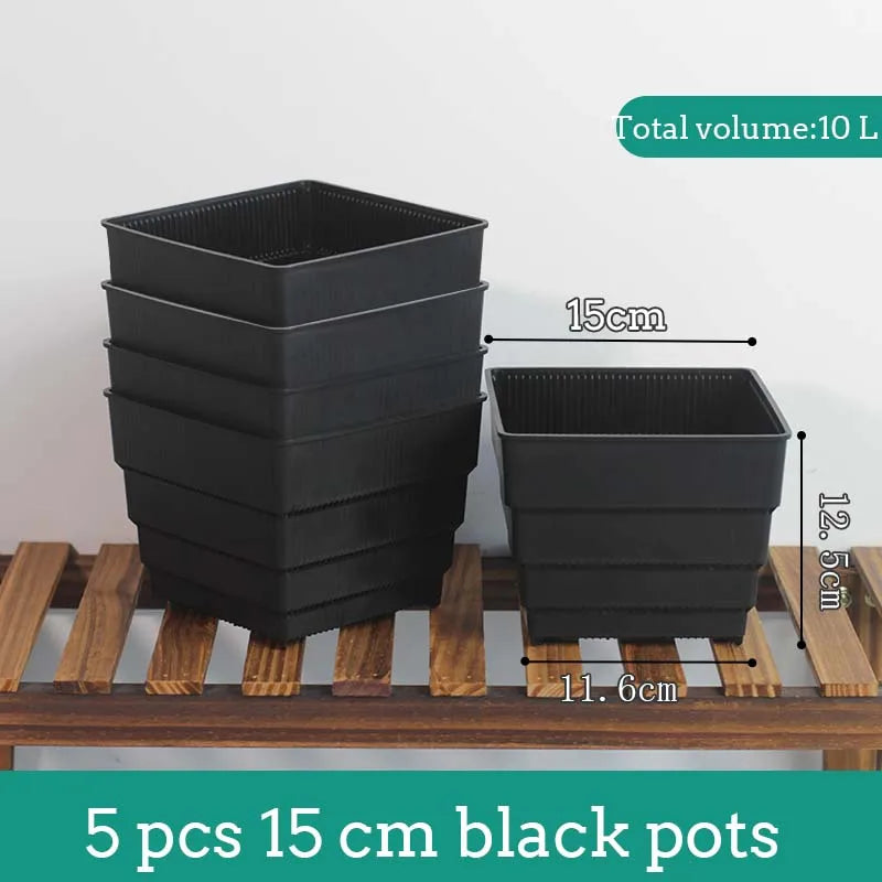 Pots succulentes blancs moderne rainures verticales drainage aération 10cm 12cm 15cm