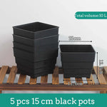 Pots succulentes blancs moderne rainures verticales drainage aération 10cm 12cm 15cm