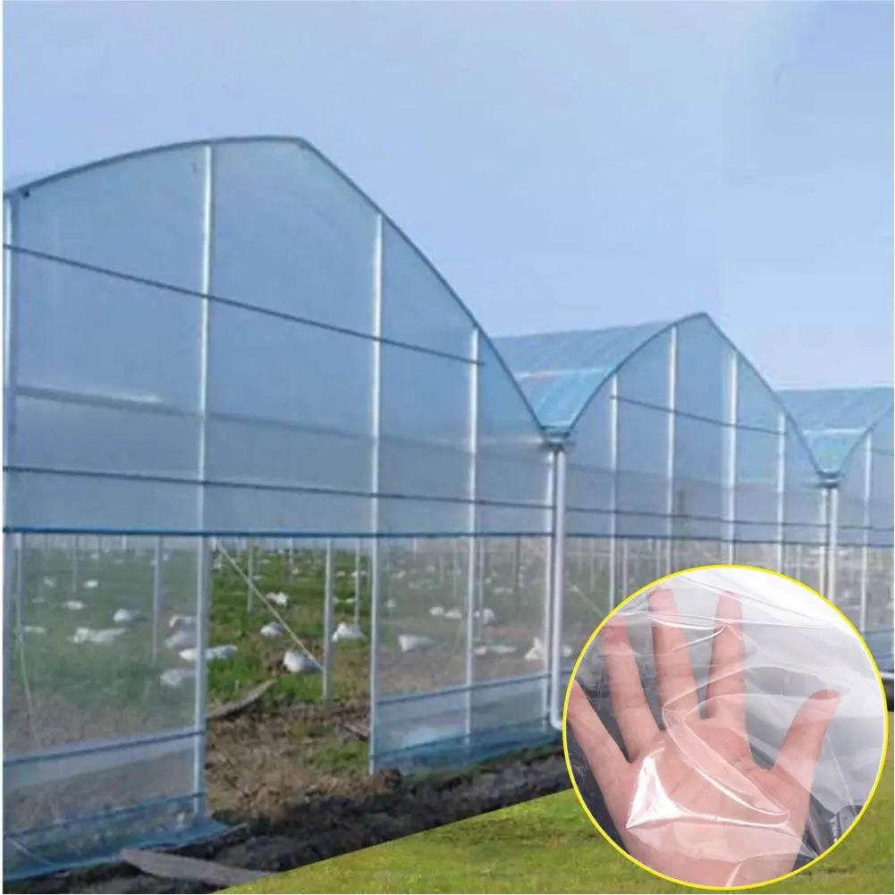 film plastique transparent protection jardin 10m 15m 20m 2m 30m 4m 6m 8m simple