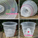 Pots plante transparents modernes perforés drainants 10cm fleur verteintérieur