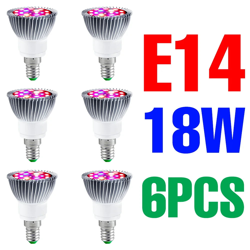 lampe croissance plantes led blanc rouge violet forme diamant moderne 50w 80w 100w e27