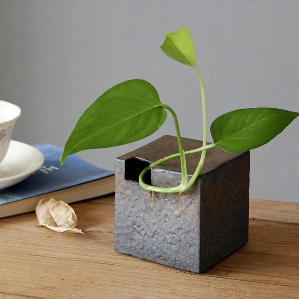 vases céramique ikebana japonais zen décoration intérieure fleurs séchées arrangement méditation pot plante