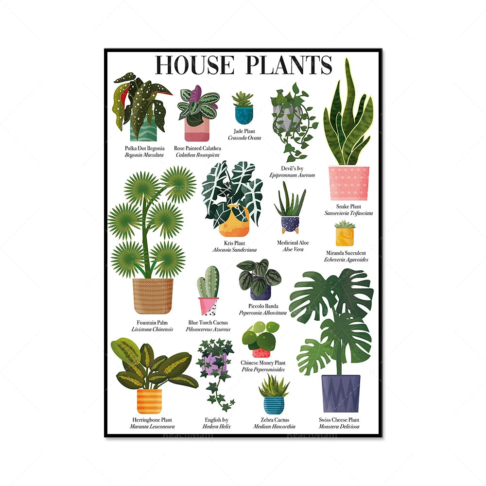 Une magnifique affiche botanique présentant une variété de plantes d'intérieur avec leurs noms et leurs caractéristiques.