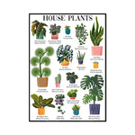 Une magnifique affiche botanique présentant une variété de plantes d'intérieur avec leurs noms et leurs caractéristiques.