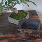 pots fleurs pierre naturelle gris marron vert texture marbrée rustique décoration intérieure extérieure succulentes