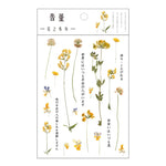 fleurs séchées décoratives naturelles adhésives transparentes variées sacs enfants papeterie mignonne
