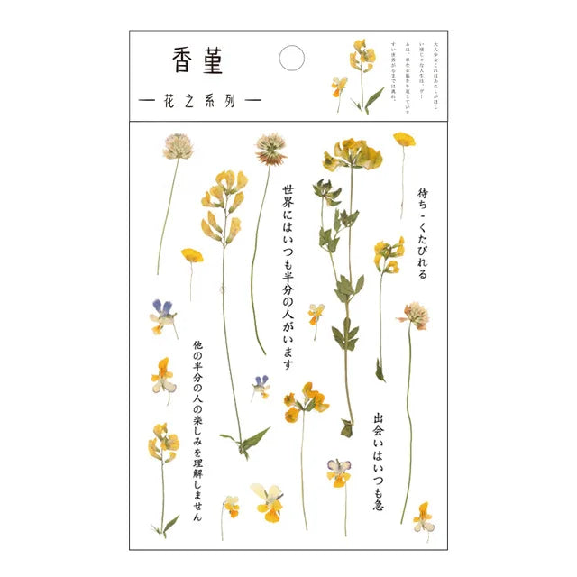fleurs séchées décoratives naturelles adhésives transparentes variées sacs enfants papeterie mignonne