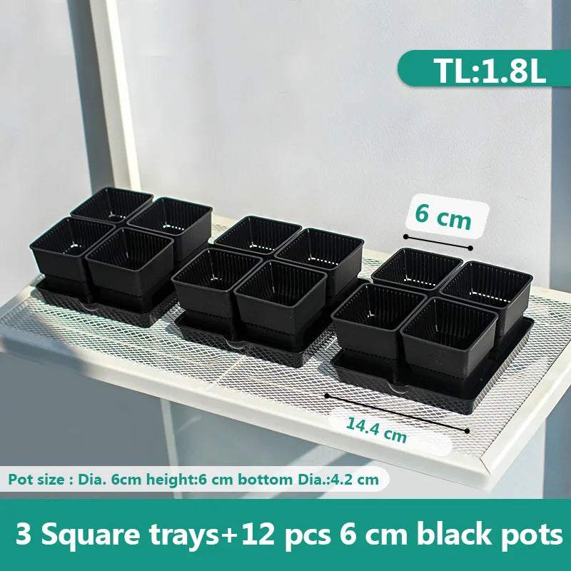 pots plastique blanc succulentes racines contrôle moderne perforations verticales jardin
