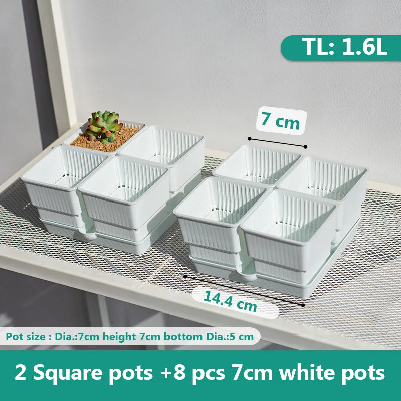 pots plastique blanc succulentes racines contrôle moderne perforations verticales jardin