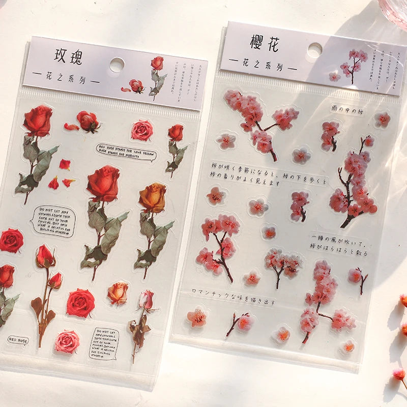 fleurs séchées décoratives naturelles adhésives transparentes variées sacs enfants papeterie mignonne