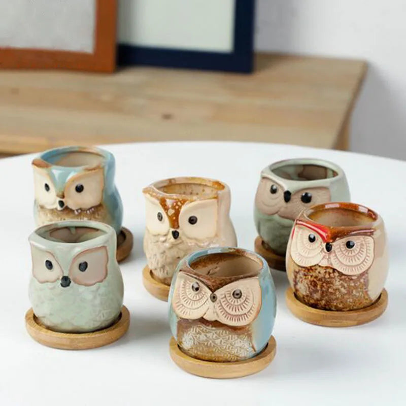 pots céramique fleurs chouette tête oiseau couleur variée texture artistique succulente