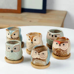 pots céramique fleurs chouette tête oiseau couleur variée texture artistique succulente