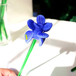 Vase tournesol éclairé par la lumière naturelle