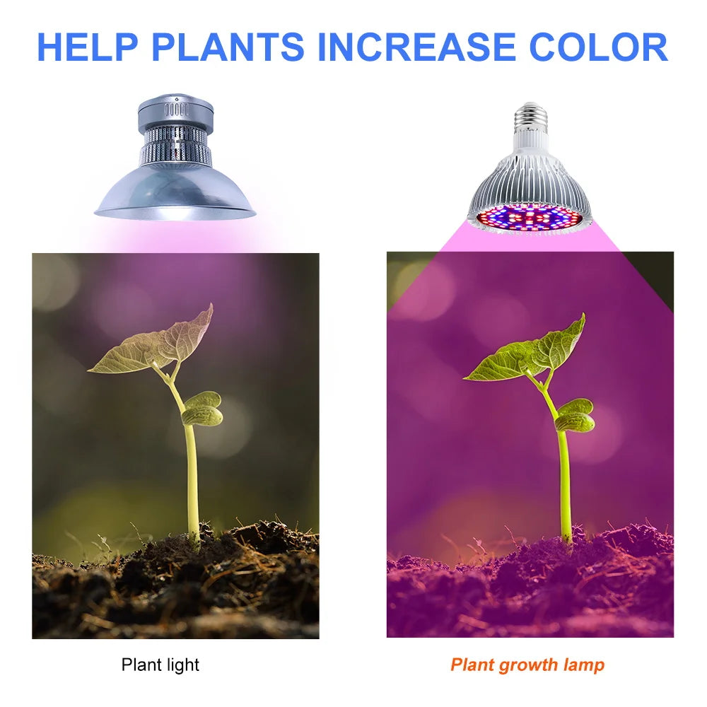 lampe croissance plantes led blanc rouge violet forme diamant moderne 50w 80w 100w e27