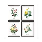 décoration murale botanique vintage impressions toile fleurs roses papillons encadrées chambre salon