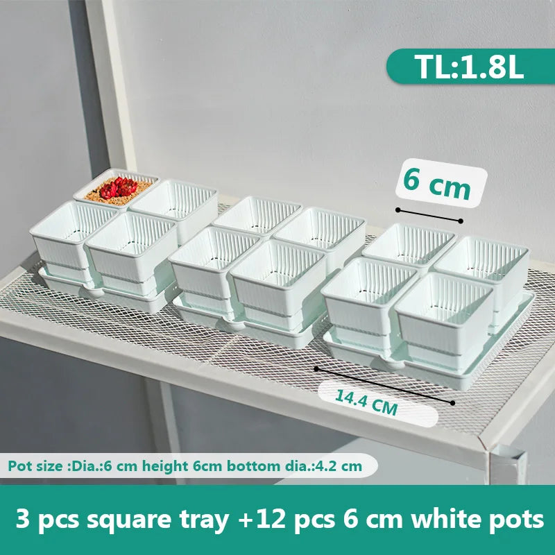 pots plastique blanc succulentes racines contrôle moderne perforations verticales jardin