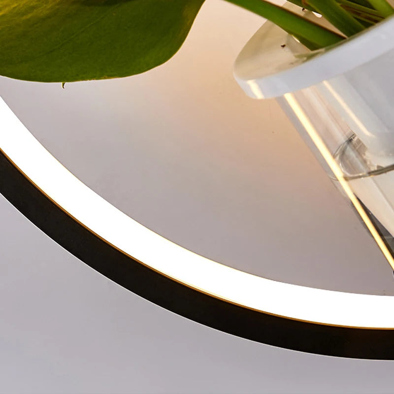 lampe murale moderne minimaliste noire blanche plante pot plastique transparent chambre salon entrée