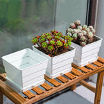 Pots succulentes blancs moderne rainures verticales drainage aération 10cm 12cm 15cm