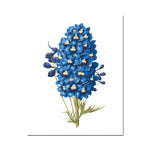 Cette image représente un magnifique bouquet de fleurs bleues avec de petites fleurs jaunes au centre, disposées de manière élégante et naturelle.