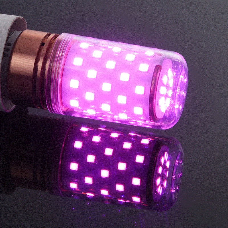 ampoule led maïs décorative transparente couleurs bleu rouge violet vert salon moderne intérieur