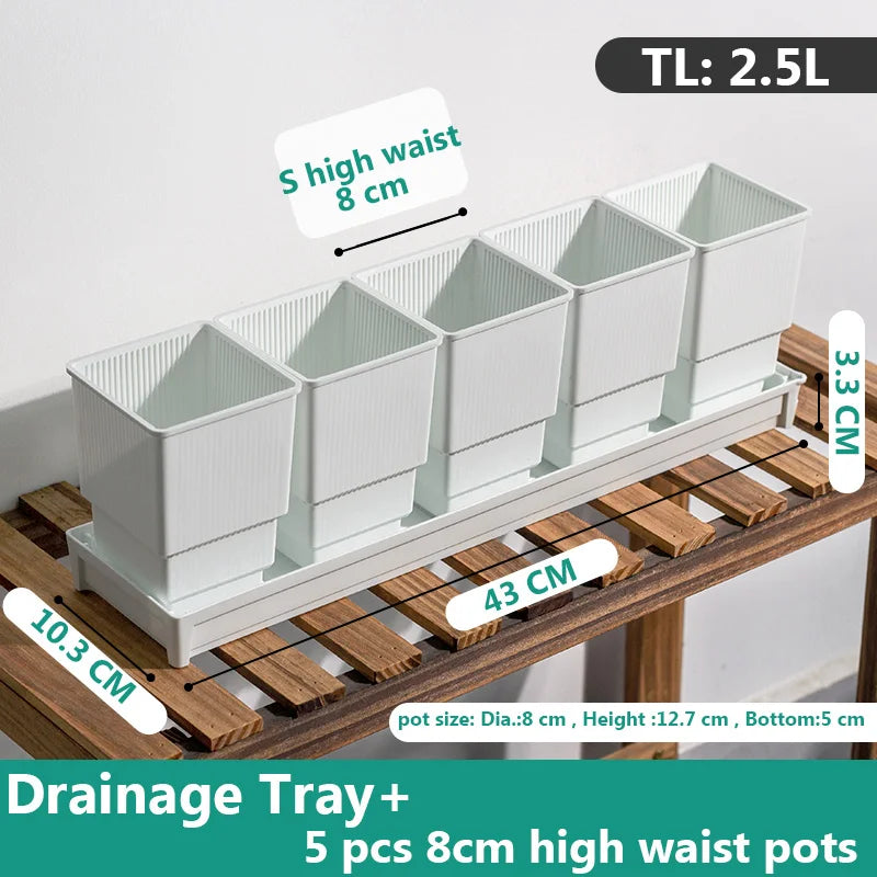 pots succulentes blancs moderne drainage ridge verticale pots différents tailles plateau