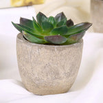 plantes succulentes artificielles vertes modernes mini bonsaï décoration maison feuilles pointues arrondies pot céramique