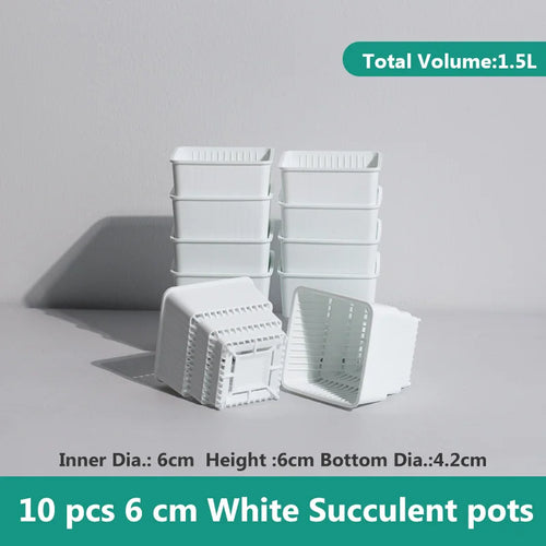 lot pots plantes succulentes blanc plastique carré plateaux cactus jardin intérieur moderne