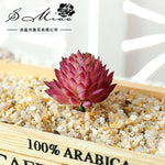 plantes succulentes artificielles vert rose violet bleu orange décoration jardin feuilles pointues réalistesextérieur exposition