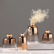vase dégradé marron rosé transparence moderne minimaliste élégant fleurs séchées plante verteintérieur chambre salon