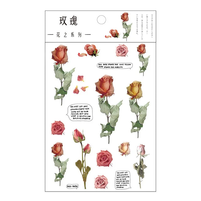 fleurs séchées décoratives naturelles adhésives transparentes variées sacs enfants papeterie mignonne